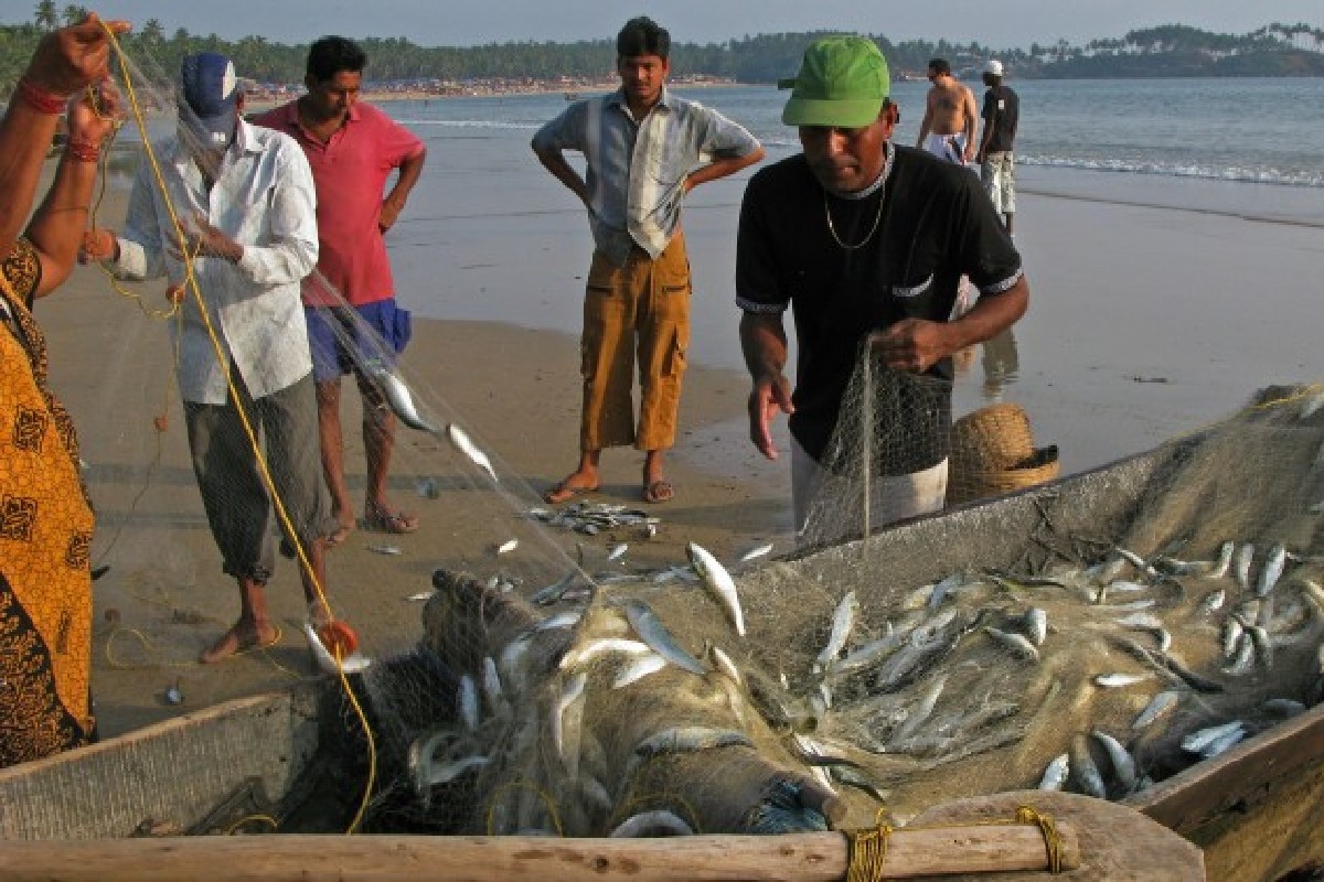 Goa Fishermen