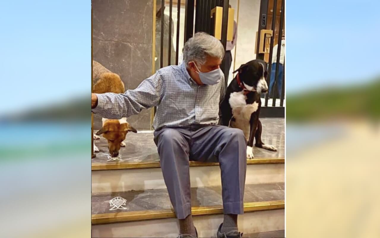 Ratan Tata Had Adopted A Dog and Named It Goa